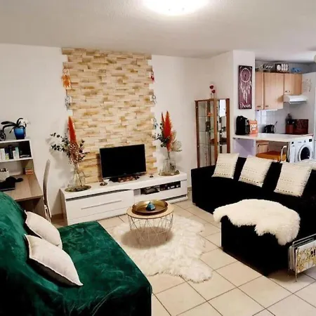 Appartement Lumineux Avec Piscine A St Esteve Apartment *