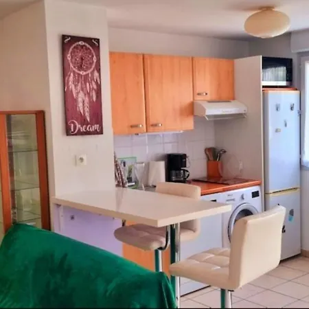 Appartement Lumineux Avec Piscine A St Esteve *